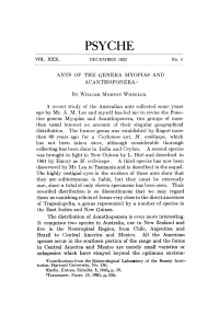 Ants of the Genera Myopias and Acanthoponera.1