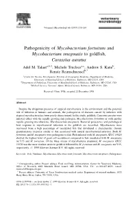 Pathogenicity of Mycobacterium Fortuitum and Mycobacterium Smegmatis to Goldfish, Carassius Auratus Adel M