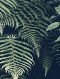 Bosc Yas Sofa Bosc Yas Sofa Bosc En Langue Gasconne in the Gascon Language, Signifie Forêt