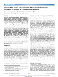 Genome-Wide Screen Identifies Genes Whose Inactivation Confer Resistance to Cisplatin in Saccharomyces Cerevisiae