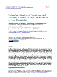 Molecular Detection of Anaplasma and Ehrlichia Infection in Ticks in Borderline of Iran-Afghanistan