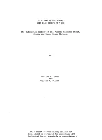 448 the Subsurface Geology of The