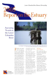 Estuary Report Final.Indd