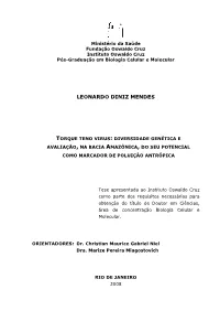 Leonardo Diniz Mendes