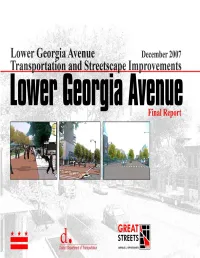 Lower-GA-Final-Report Part1.Pdf