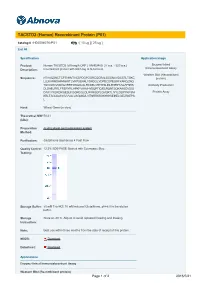 TACSTD2 (Human) Recombinant Protein (P01)