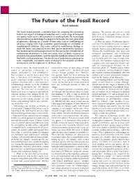The Future of the Fossil Record David Jablonski