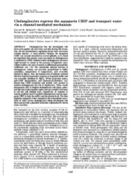 Cholangiocytes Express the Aquaporin CHIP and Transport Water Via a Channel-Mediated Mechanism STUART K