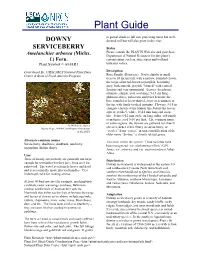 Downy Serviceberry Are Generally Not Large Distribution Enough for Sawtimber but They Have Been Used for Downy Serviceberry Is Widespread in the Eastern US Pulpwood