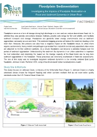 Floodplain Sedimentation