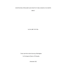 IDENTIFICATION, PREVALENCE and IMPACTS of VIRAL DISEASES of UK WINTER WHEAT LAURA JANE FLINT, Bsc. Thesis Submitted to the Unive