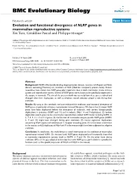 Evolution and Functional Divergence of NLRP Genes in Mammalian Reproductive Systems Xin Tian, Géraldine Pascal and Philippe Monget*