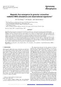 Magnetic Flux Emergence in Granular Convection