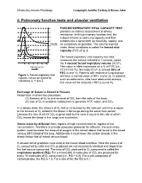4. Pulmonary Function Tests and Alveolar Ventilation