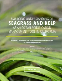 Emerging Understanding of Seagrass and Kelp As an Ocean Acidification Management Tool in California
