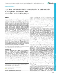 Light Level Impacts Locomotor Biomechanics in a Secondarily Diurnal Gecko, Rhoptropus Afer Aleksandra V