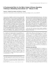 A Fundamental Role for the Nitric Oxide-G-Kinase Signaling Pathway in Mediating Intercellular Ca2+ Waves in Glia