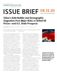 China's Debt Bubble and Demographic Stagnation Pose