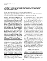 Pyruvate Ferredoxin Oxidoreductase from the Hyperthermophilic