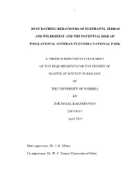 Dust Bathing Behaviours of Elephants, Zebras And