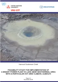 Feasibility Study for Implementation of a Binary Power Plant in Lake Abhé Geothermal Area with a Particular Hot Arid Climate, Djibouti