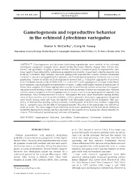 Gametogenesis and Reproductive Behavior in the Echinoid Lytechinus Variegatus