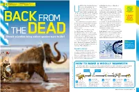 How to Make a Woolly Mammoth Should Scientists Bring Extinct