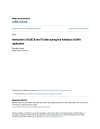 Interaction of DUE-B and Treslin During the Initiation of DNA Replication