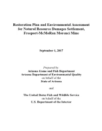 Morenci Final Restoration Plan with FONSI