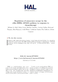Regulation of Senescence Escape by the Cdk4–EZH2–AP2M1 Pathway In