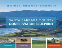 Creating a Landscape of Opportunity