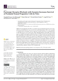 Purinergic Receptor Blockade with Suramin Increases Survival of Postnatal Neural Progenitor Cells in Vitro