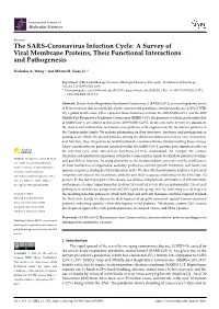 The SARS-Coronavirus Infection Cycle: a Survey of Viral Membrane Proteins, Their Functional Interactions and Pathogenesis