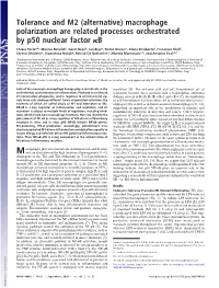 Tolerance and M2 (Alternative) Macrophage Polarization Are Related Processes Orchestrated by P50 Nuclear Factor ␬B