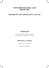 Bird Report 2004B
