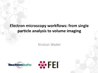 Electron Microscopy Workflows: from Single Particle Analysis to Volume Imaging