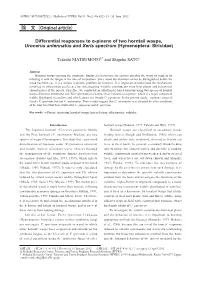 Differential Responses to Α-Pinene of Two Horntail Wasps, Urocerus Antennatus and Xeris Spectrum (Hymenoptera: Siricidae)