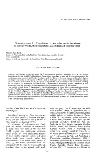 Ficus Microcarpa L., F. Benjamina L. and Other Species Introduced in the New World, Their Pollinators (Agaonidae) and Other Tig Wasps