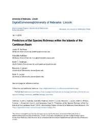 Predictors of Bat Species Richness Within the Islands of the Caribbean Basin