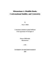 Ribonuclease A: Disulfide Bonds, Conformational Stability, and Cytotoxicity