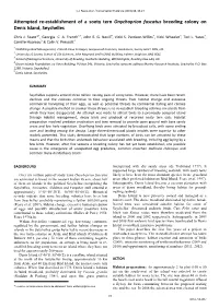 Attempted Re-Establishment of a Sooty Tern Onychoprion Fuscatus Breeding Colony on Denis Island, Seychelles