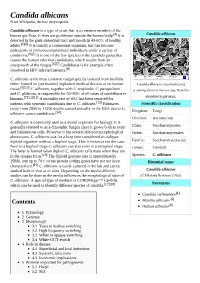 Candida Albicans from Wikipedia, the Free Encyclopedia