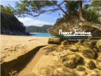 Project Janszoon Annual Report 2015 1 Project Janszoon Director’S Report