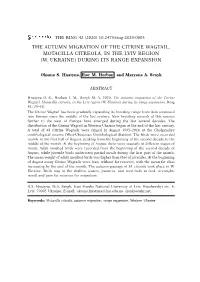 The Autumn Migration of the Citrine Wagtail, Motacilla Citreola, in the Lviv Region (W