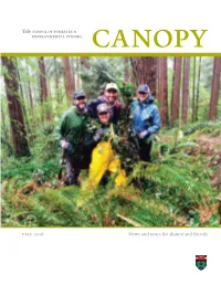 Canopy, Fall 2016