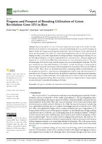 Progress and Prospect of Breeding Utilization of Green Revolution Gene SD1 in Rice