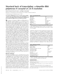 Structural Basis of Transcription: -Amanitin–RNA Polymerase II