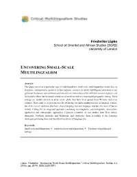 Uncovering Small-Scale Multilingualism