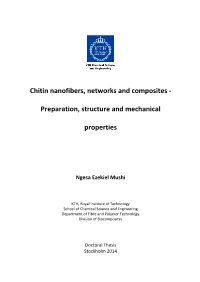 Chitin Nanofibers, Networks and Composites