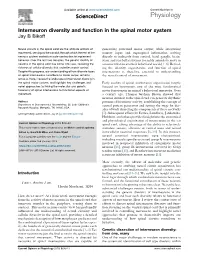 Interneuron Diversity and Function in the Spinal Motor System
